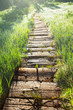 Boardwalk