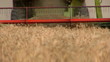 Wheat harvest season ....