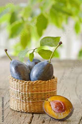 Foto: basket with plums basket with plums