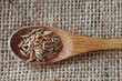 Fennel seeds over rustic background