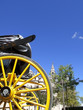 Foto: Old-fashioned carriage near cathedral, Seville, Spain Old-fashioned carriage near cathedral, Seville, Spain