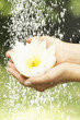 Close-up of young woman holding flower under dripping water outdoors