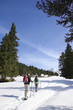 Couple hiking on trail in snow covered wilderness