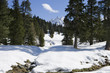 View of snow covered mountains and woods