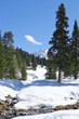 View of snow covered mountains and woods