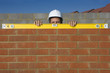 Portrait of bricklayer holding level tool on brick wall