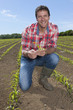 Portrait of smiling farmer holding corn seedling in field