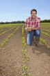 Portrait of smiling farmer holding corn seedling in field