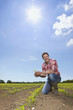 Farmer examining corn seedling in field