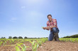 Portrait of smiling farmer holding corn seedling in field