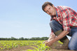 Portrait of farmer tending to corn seedlings in field