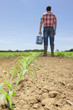 Farmer with watering can in field of corn seedlings