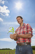 Farmer cupping corn seedling in field