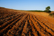 red dirt