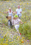 Photo: Senior couple standing with bicycles on path through wildflowers in field greeting granddaughter Senior couple standing with bicycles on path through wildflowers in field greeting granddaughter