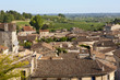 Traditional rooftops of houses in France