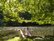 Serene woman relaxing on riverbank with dog