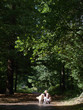 Woman squatting on path in park with dog