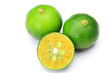 citrus depressa