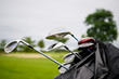 Golfschläger