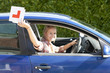 Foto: Portrait of smiling young woman driving car and throwing learnerճ permit sticker out window Portrait of smiling young woman driving car and throwing learnerճ permit sticker out window