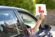 Photo: Young woman holding learnerճ permit sticker Young woman holding learnerճ permit sticker