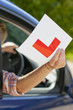Photo: Close up of young woman holding learnerճ permit sticker Close up of young woman holding learnerճ permit sticker