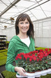 Portrait of smiling woman holding tray of flowers in greenhouse