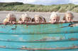 Portrait of smiling boy and girls peering from behind boat on beach