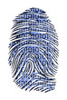Binary Code ID