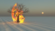 Fire burning around tree in desert Sands