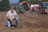 Foto: Portrait of smiling farmer kneeling and holding potatoes in sunny, rural field with tractors in background Portrait of smiling farmer kneeling and holding potatoes in sunny, rural field with tractors in background