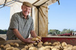Portrait of smiling farmer inspecting potatoes on conveyor belt in rural field