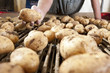 Close up of farmer holding potato above conveyor belt