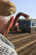 Farmer watching potatoes being emptied into trailer in sunny, rural field