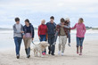 Teenage friends and dog walking on beach