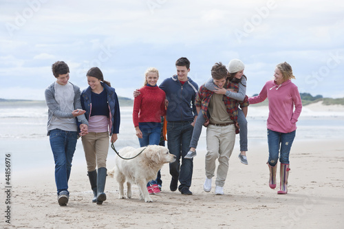 Photo: Teenage friends and dog walking on beach Teenage friends and dog walking on beach