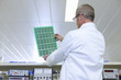 Engineer examining printed circuit board at electrical test bench
