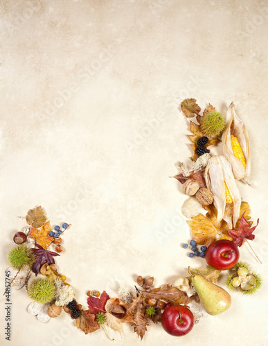 Photo: Autumn fruits and leaves border Autumn fruits and leaves border