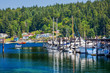 Photo: White Sailboats Marina Reflection Gig Harbor Washington State White Sailboats Marina Reflection Gig Harbor Washington State