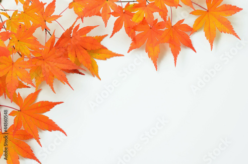 Photo: Herbst Herbst
