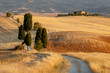 Tuscan countryside at sunset, near Pienza, Tuscany, Italy