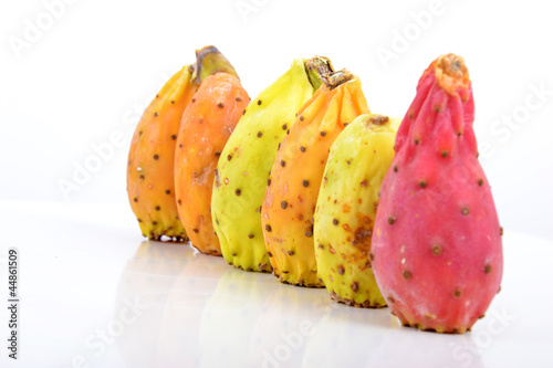 Photo: Figues de Barbarie (Opuntia ficus-indica) - 2 Figues de Barbarie (Opuntia ficus-indica) - 2