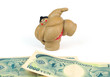 Sumo and Yen Money