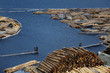 Foto: holzstämme holzstämme