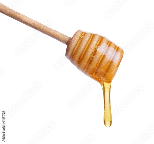 Photo: honey honey