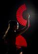 Photo: Flamenco beauty Flamenco beauty