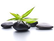 Zen pebbles. Stone spa and healthcare concept.