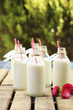 Milk Bottle