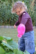 Foto: arroser les plantes arroser les plantes